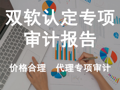 雙軟認(rèn)定專項(xiàng)審計(jì)報(bào)告
