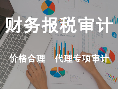 財務(wù)報告審計