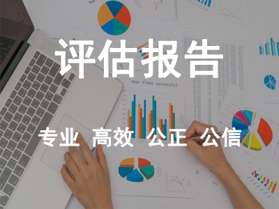 評估報告