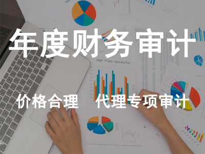 年度財務(wù)審計